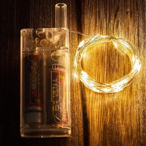 Detail of warm yellow LED copper wire string lights with transparent 1.5V AA battery box