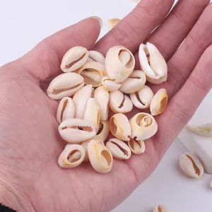 Natural white cowrie shells for DIY jewelry making and handmade home decorations