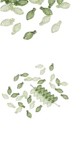 Vue macro de perles en acrylique vert en forme de feuille avec veines détaillées pour DIY