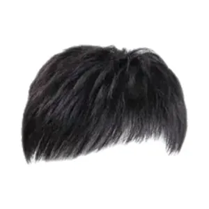 Postiche noir naturel pour hommes avec style court et volumineux sur fond blanc