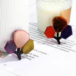 Minimalist acrylic geometric branch brooch set in colorful resin for women's fashion