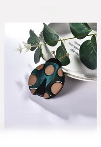 Gros plan détaillé d'une broche coccinelle en acrylique avec texture marbre vert foncé