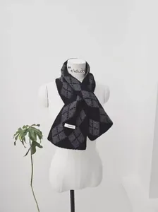 Detail of grey argyle knit wool scarf on mannequin with ebada tag and green plant