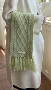 Detailed knit texture of 100% wool scarf with fringe and classic cable pattern