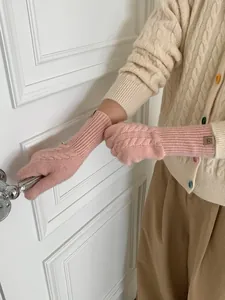 Detail of pink wool knit gloves with cable pattern and leather tag in warm home setting