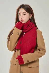 Dettaglio della trama a trecce rosse della sciarpa e dei guanti in lana sul cappotto