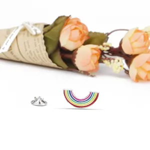 Detailed view of colorful rainbow enamel brooch pin with a premium silver metal finish