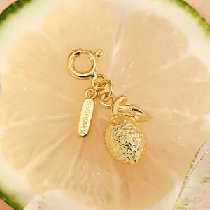 Macro d'un pendentif citron en argent 925 avec gravure Kindness sur tranches de fruits