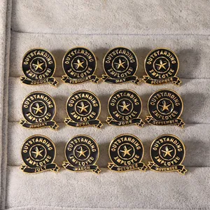 Set of 12 outstanding employee enamel pins with months displayed on velvet background