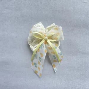 Détail macro d'un nœud papillon en dentelle multicouche avec perle et motifs de cœurs