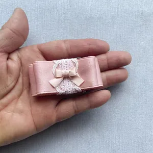 Close-up van roze satijnen strik met wit kant die de kleine ware grootte in de hand toont