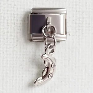 Nahaufnahme des italienischen Charm-Glieds aus Edelstahl mit einem Delphin-Anhänger