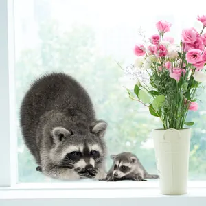 Detail von realistischen 3D-Waschbär-Fensteraufklebern auf Glas mit Blick auf den Garten