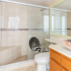 Doppelseitige Waschbär-Sticker für Glasfenster und Badezimmer Dekorationen