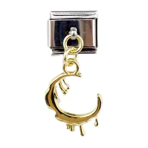 Detail of Italian charm link featuring silver stainless steel and a gold moon pendant