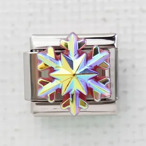 Macrofoto van Italiaanse modulaire bedelarmband met iriserende sneeuwvlok van roestvrij staal