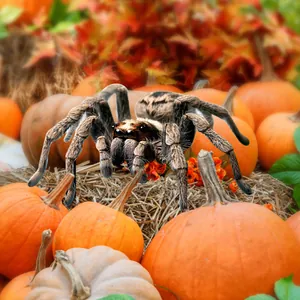 Close-up of a realistic hairy spider prop with brown stripes in a fall garden setting