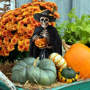 Halloween skeleton statue with black hat holding a glowing pumpkin in a garden setting
