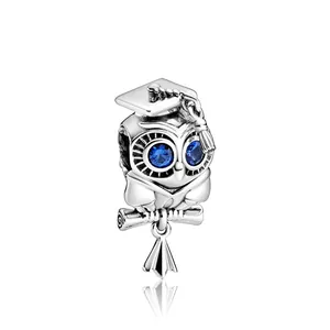Makroaufnahme von Silber-Eulencharm mit Doktorhut, blauen Steinaugen und Schriftrolle