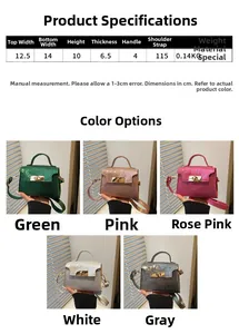 Size chart showing dimensions for mini crossbody bag with gold lock and top handle