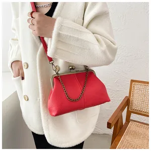 Close-up of red lychee texture shell bag with retro clasp and metal chain link