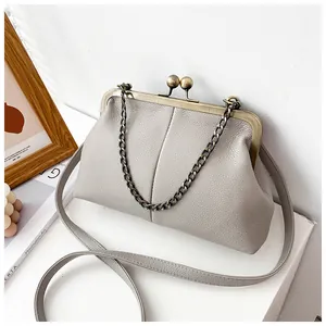 Macro detail of grey litchi grain leather shell bag with vintage bronze clasp and metal chain