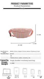 Gedetailleerde afmetingen en gewicht van de roze gestreepte nylon borsttas voor dames