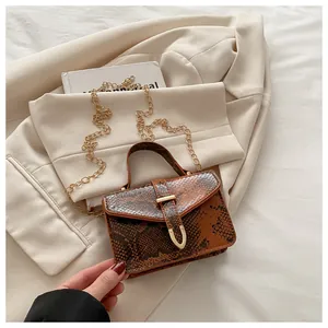 Close-up of brown snakeskin texture handbag with gold metal clasp and chain strap