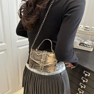 Vintage snake print mini crossbody bag with gold metal handle and chain strap for women