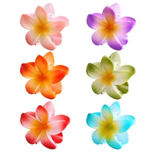 6er-Set farbenfrohe Haarspangen im Farbverlauf-Design mit tropischem Plumeria-Blütenmotiv