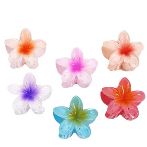 6er-Set bunte Haarklammern in Blumenform mit Farbverlauf für Damen auf weißem Grund