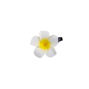 Nahaufnahme der tropischen weiß-gelben Plumeria-Haarklammer mit einer schwarzen Haarspange