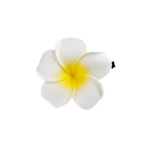 Nahaufnahme der weiß-gelben EVA-Schaum-Frangipani-Blüte mit schwarzer Metall-Schnabelklemme