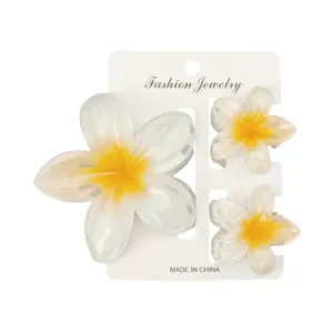 Detailansicht von weiß-gelben Haarklammern im Plumeria-Design auf einer Schmuckkarte