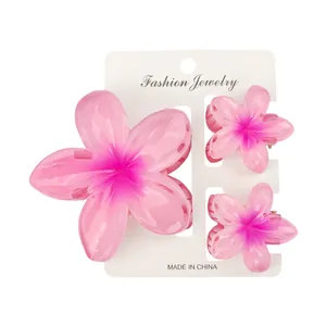 Dreiteiliges Frangipani Haarklammer Set mit rosa Farbverlauf auf Display Karte