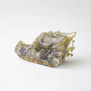 Vue détaillée d'une tête de dragon en résine 3D avec une texture brune translucide