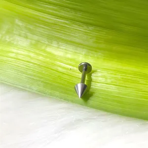 Vista macro di piercing labret a punta in titanio argento su una foglia verde