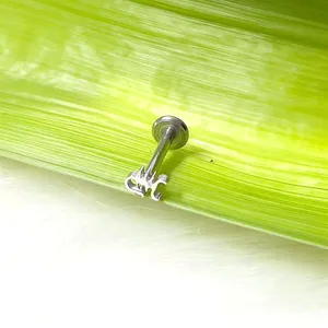 Dettaglio di un piercing argentato con lettera gotica K su una foglia verde fresca