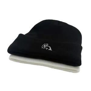 Lot de deux bonnets en maille noir et beige avec broderie dinosaure pour l'automne hiver