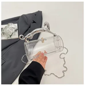 Transparent acrylic cylinder clutch bag with silver leopard handle and delicate chain strap