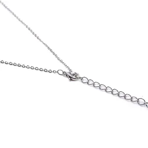 Collana in metallo argento lucido con chiusura a moschettone e catena di estensione