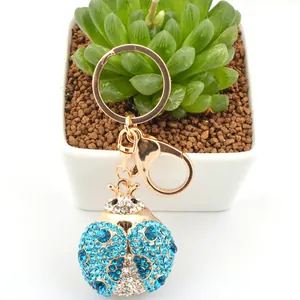 Porte-clés coccinelle dorée avec strass bleus exposé près d'une plante succulente