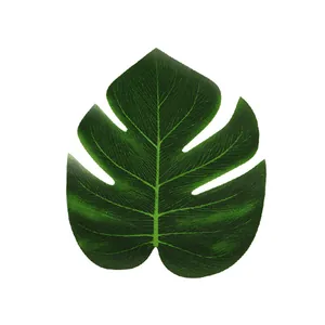 Vue détaillée d'une feuille de monstera réaliste avec des veines et une texture naturelle