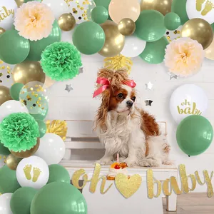 Sage green and gold oh baby shower decor set with balloons, paper flowers and puppy