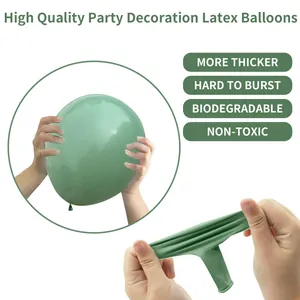 Detailed view of thick, hard to burst sage green biodegradable latex balloon durability
