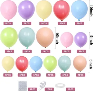 Pastel macaron balloon arch kit with 10 and 5 inch latex balloons and assembly tools