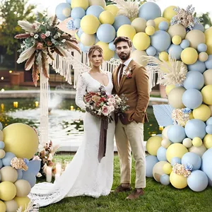 Detail der cremefarbenen Babyparty-Ballongirlande mit hellblauen Ballons und Trockenblumen