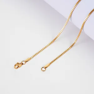 Detaillierte Makroansicht der goldenen Schlangenkette und des Karabinerverschlusses am Halsband