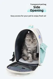Detail view of mint green pet carrier featuring side mesh window and side zipper opening