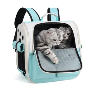 Light blue breathable pet backpack with mesh window and dual straps for cats and small dogs